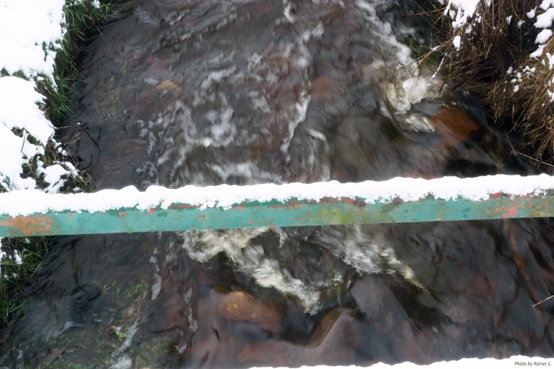 Winterliche Wasserdynamik