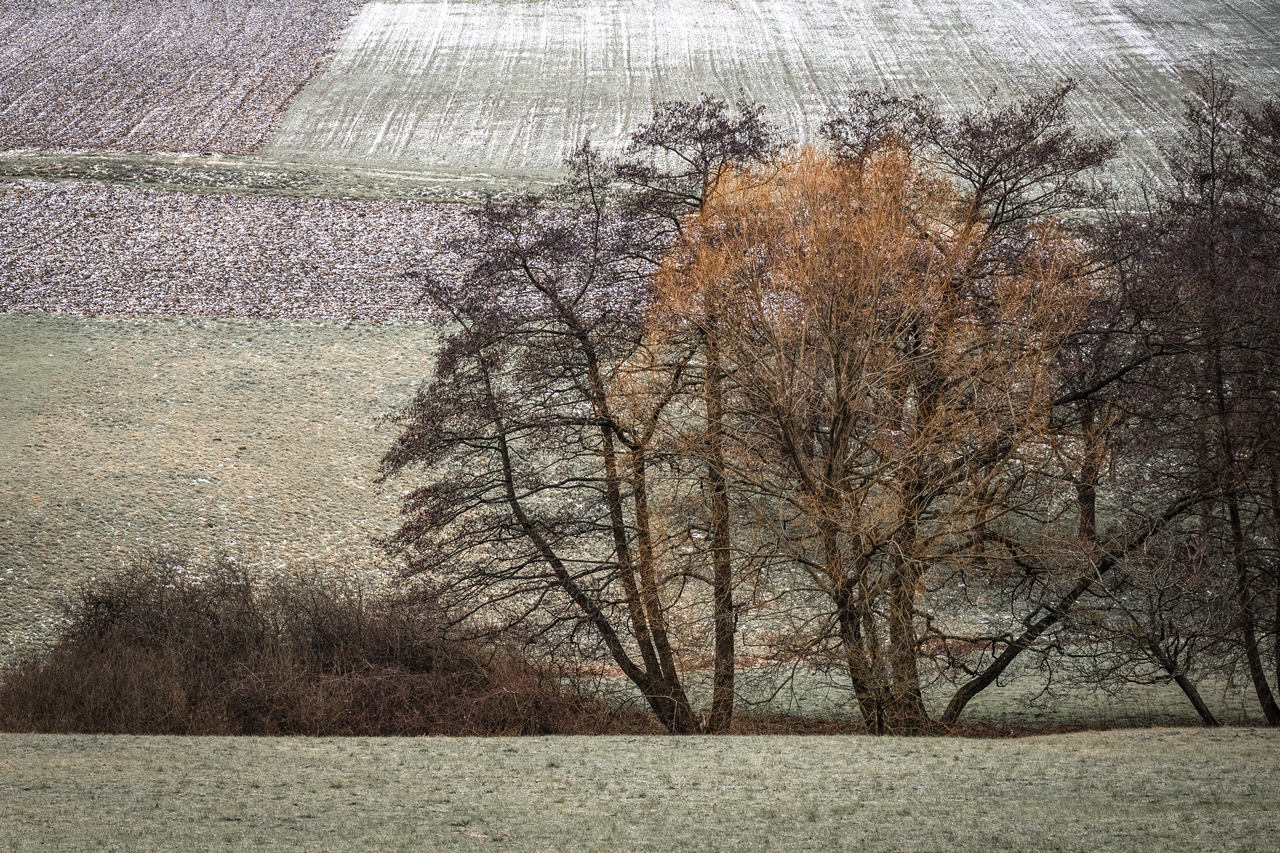 Winterpause