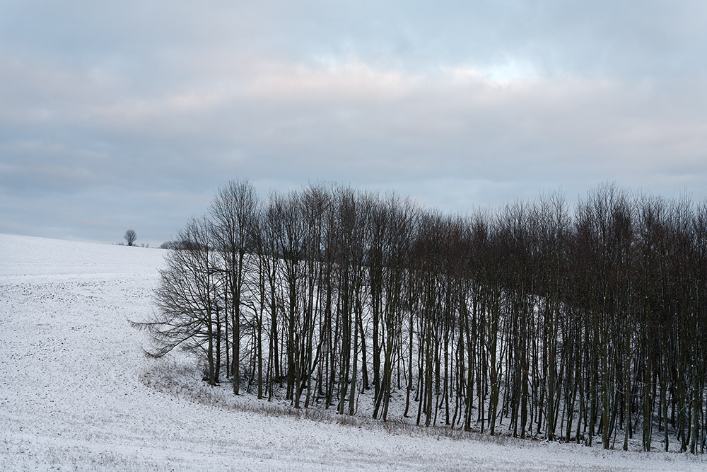 Winterruhe
