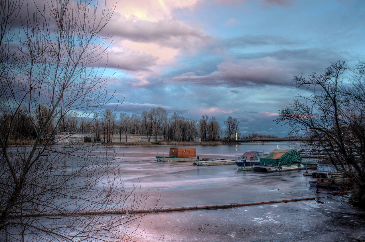 Winterstimmung Alte Donau