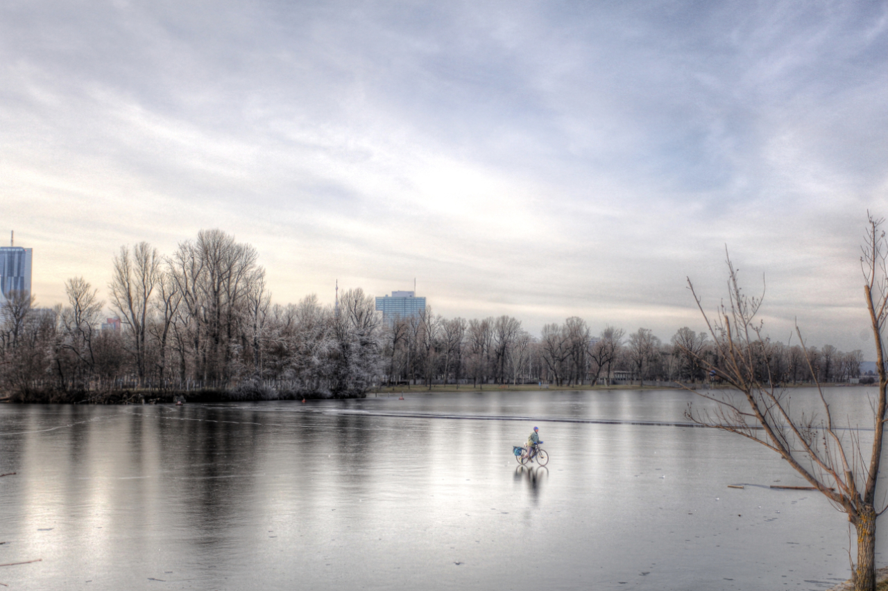 Winterstimmung an der Alten Donau (3)