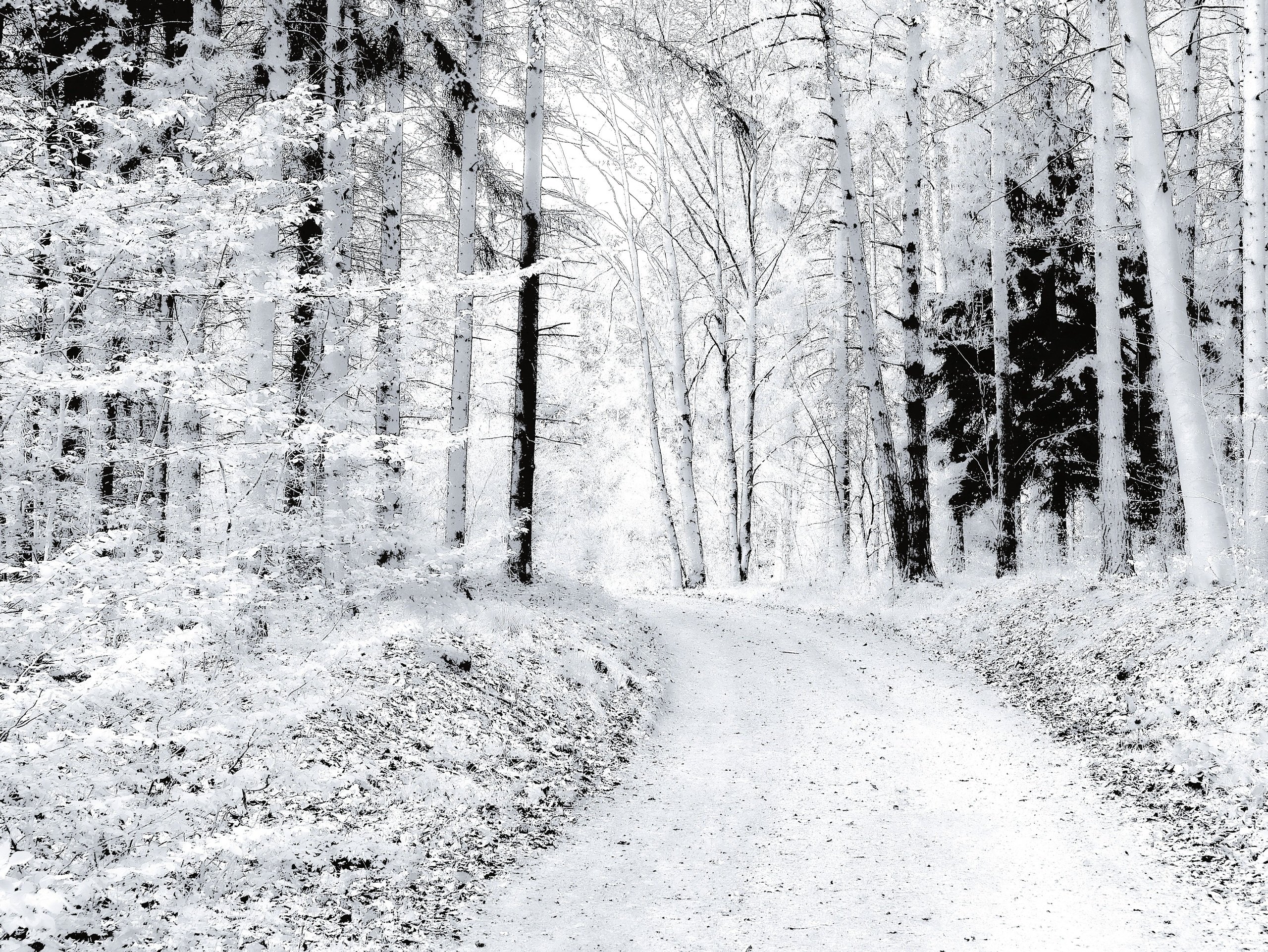Wintertraum