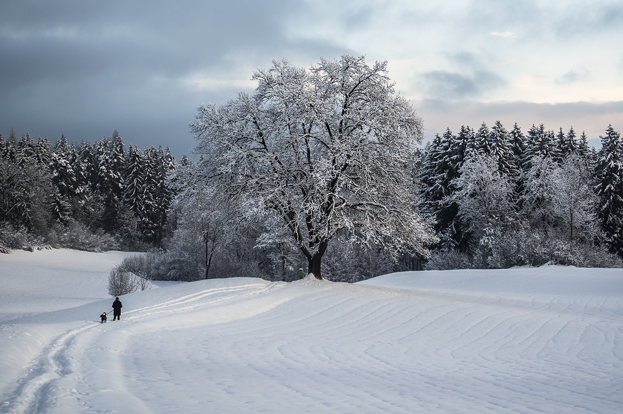 Winterwege.jpg