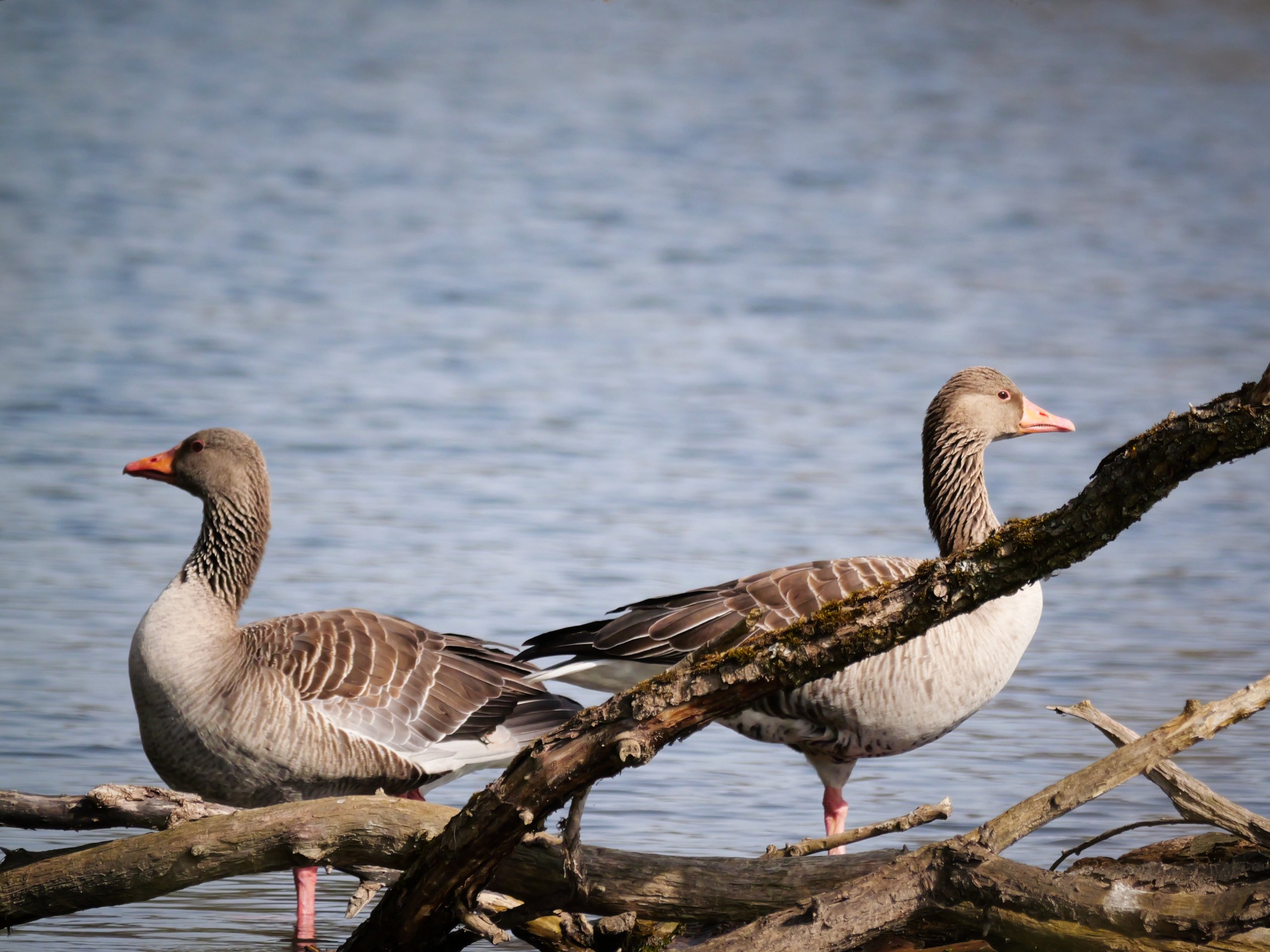 Wir haben uns nichts zu sagen!