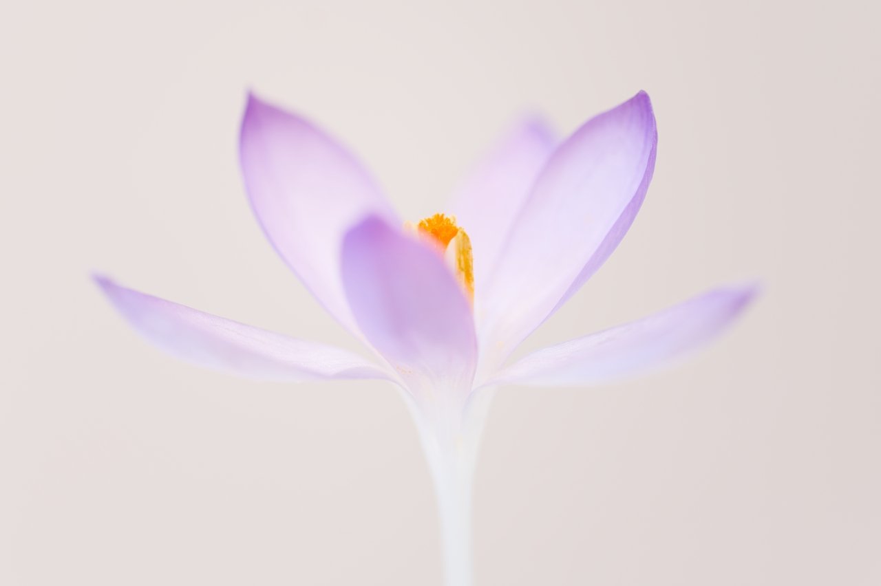 Wird aber auch Zeit.......