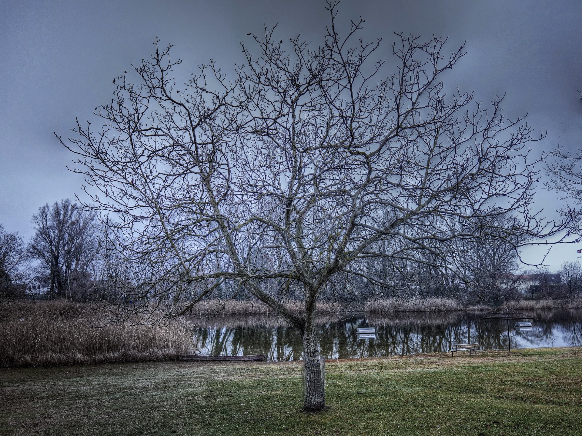 wohl das letzte Bild...