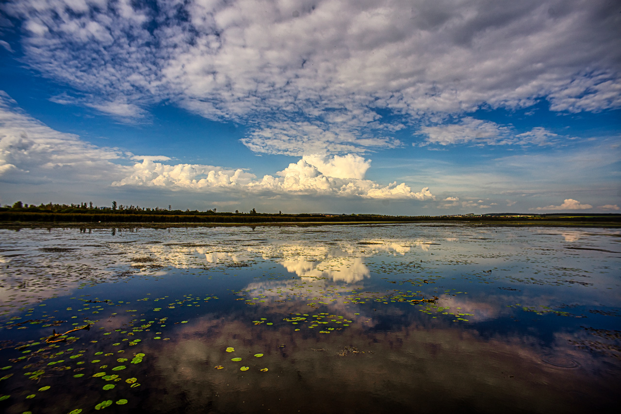 Wolkenkino