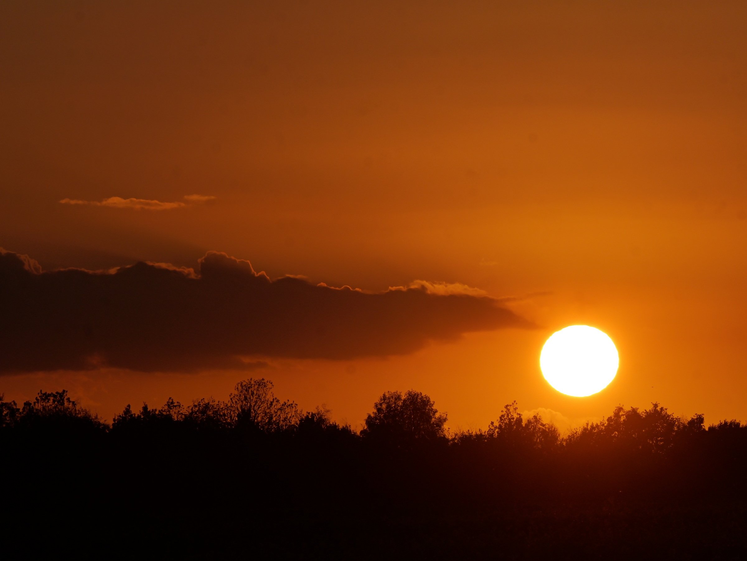 Wolkenschnecke frisst Sonne.