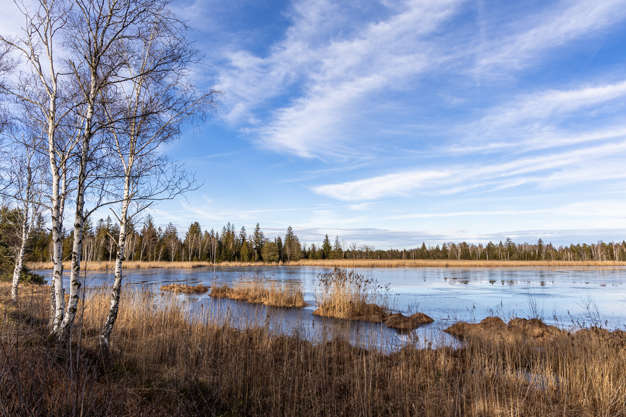 Wurzacher Ried