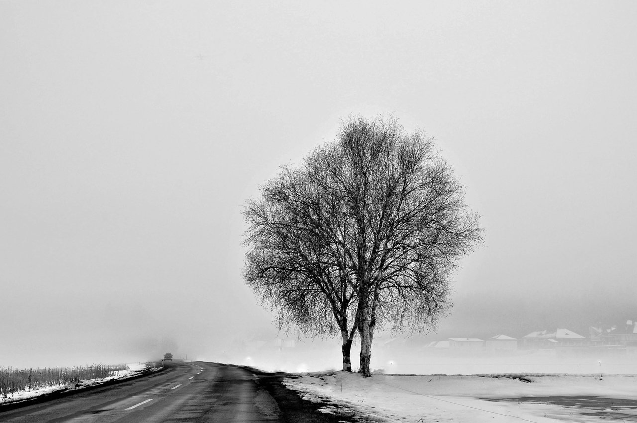 zarter Nebel reduziert die Landschaft