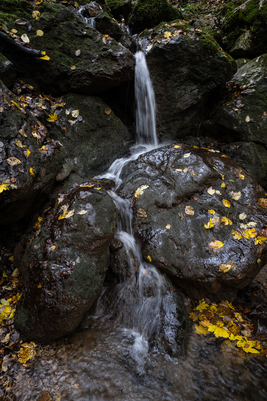 Zipfelbach im Herbst