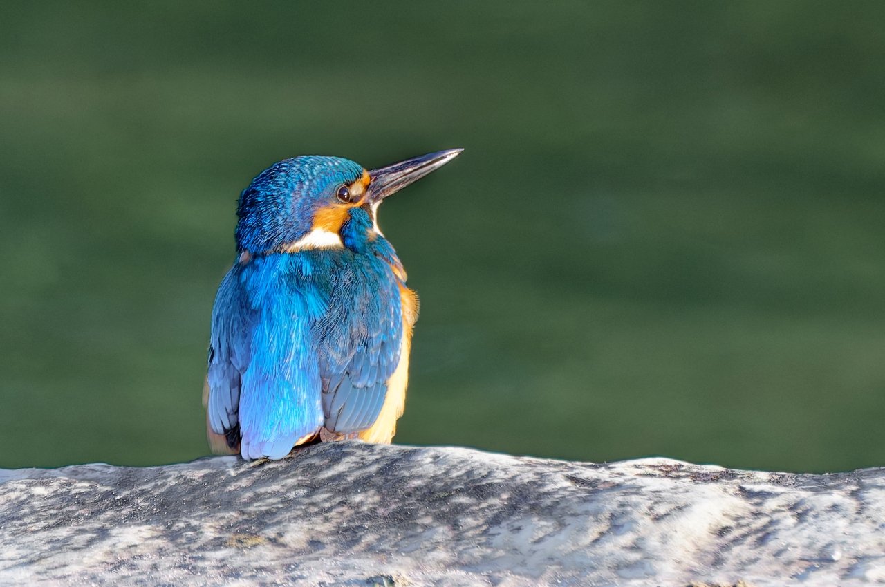 Zu schön um nicht zu zeigen.      Korrektur nach Reaktion von "lichtjahr21"