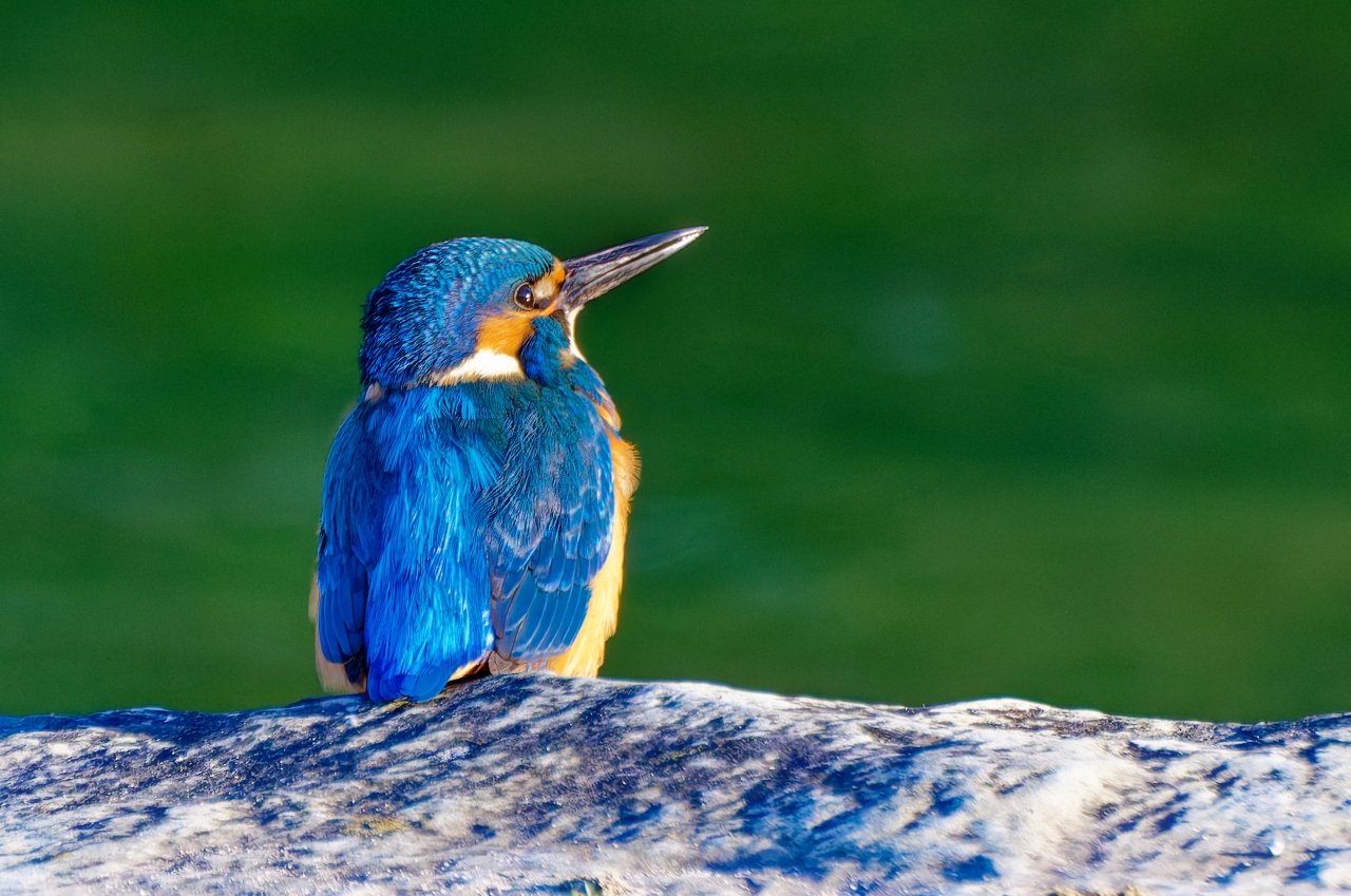 Zu schön um nicht zu zeigen.