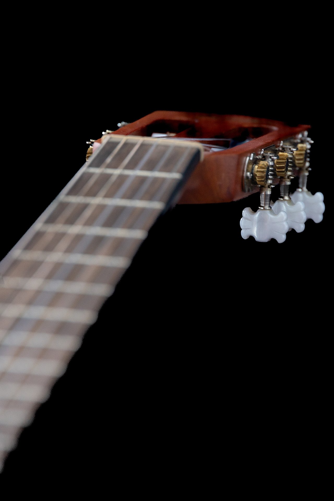 Zum Geburtstag (nachträglich) #1