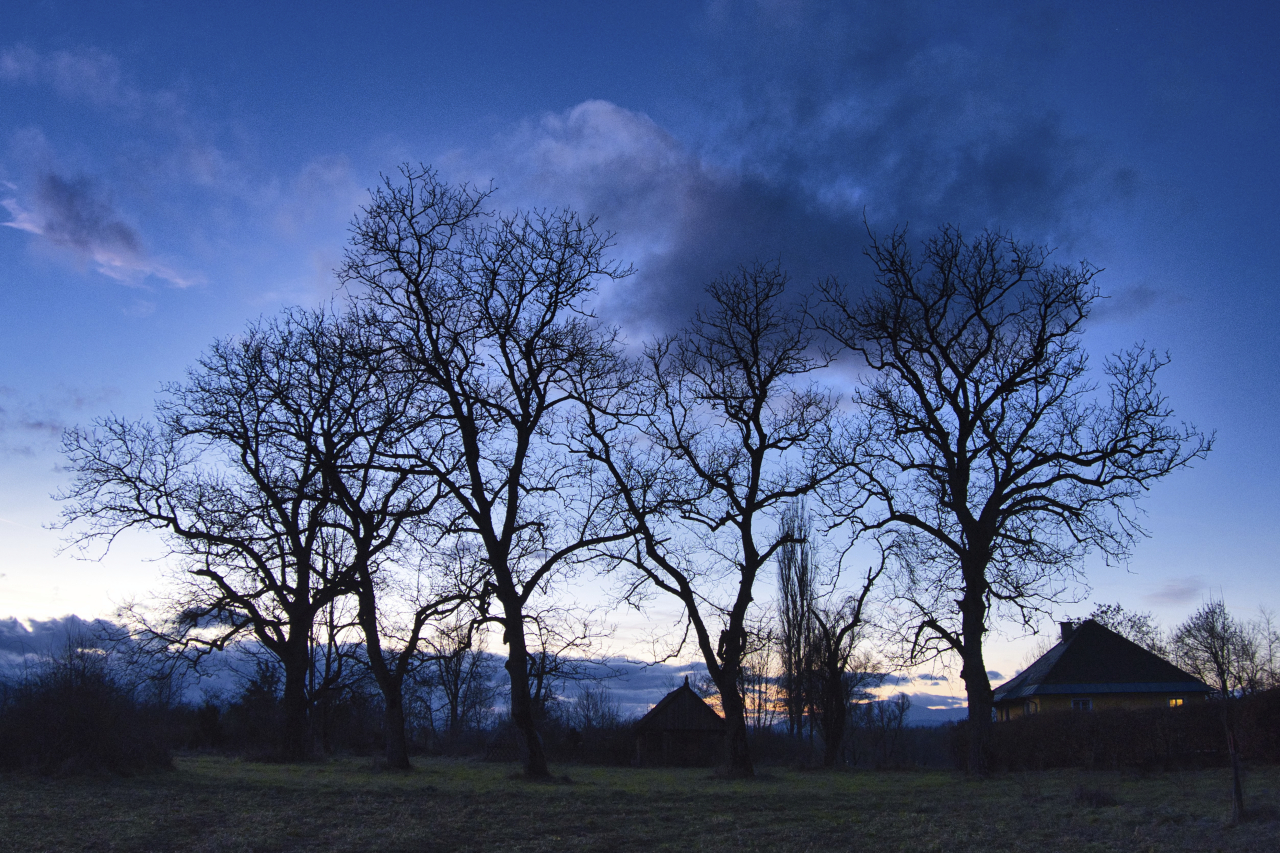 zur blauen Stunde