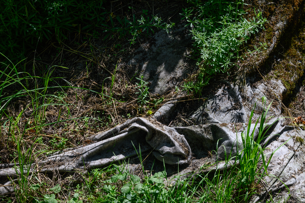 zurück zur Natur 01