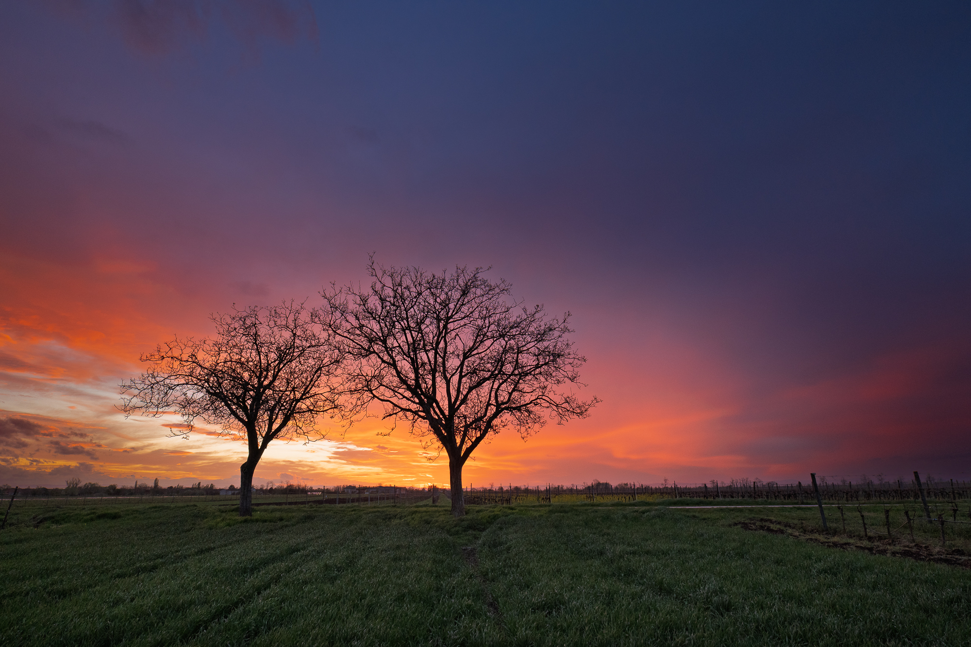 zwei am Abend