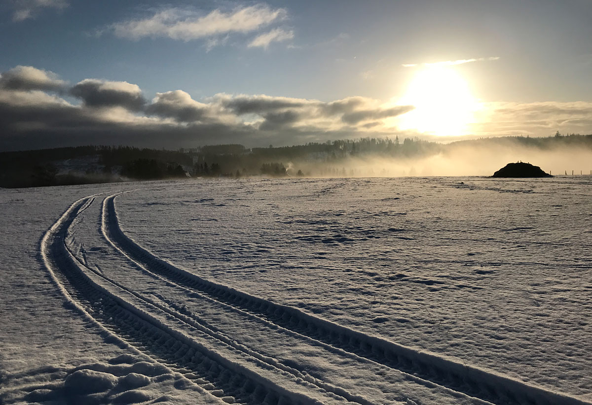 Zwei Spuren im Schnee,...