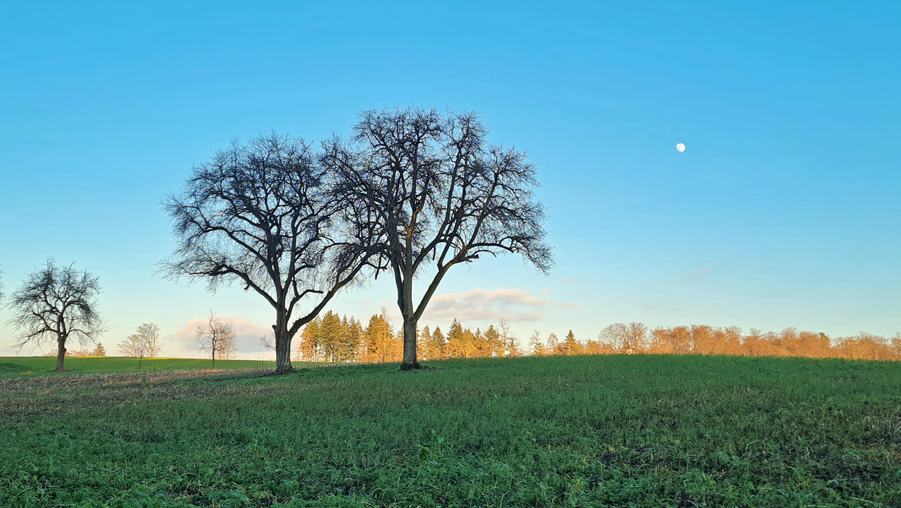 Zwillinge mit Mond