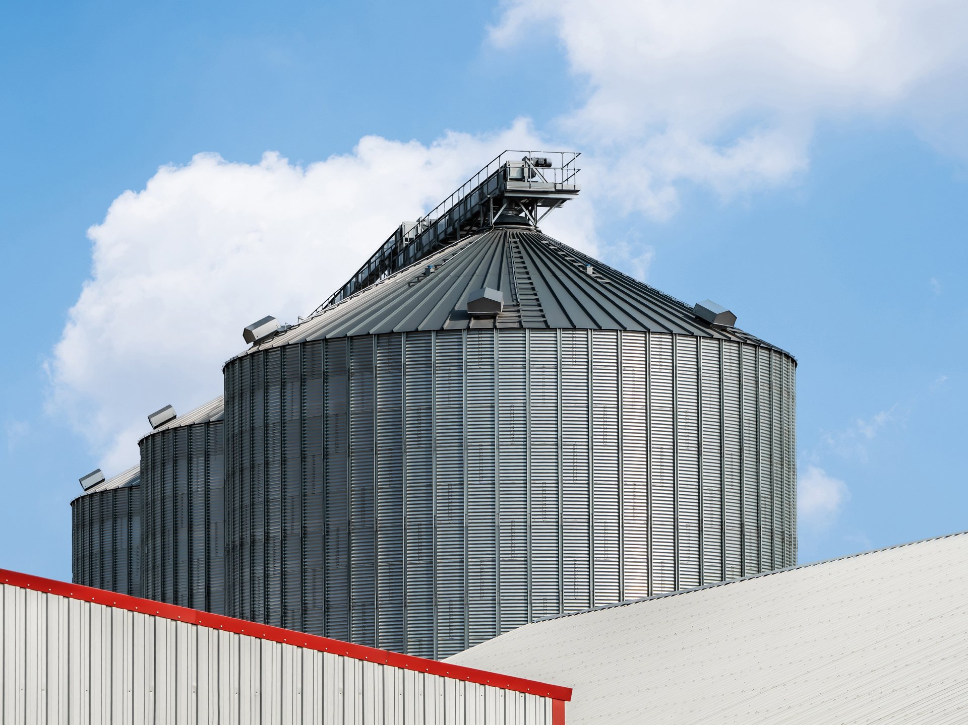 Zwischen den Dächern