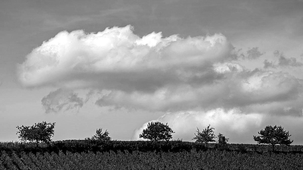 Zwischen Himmel und Erde...