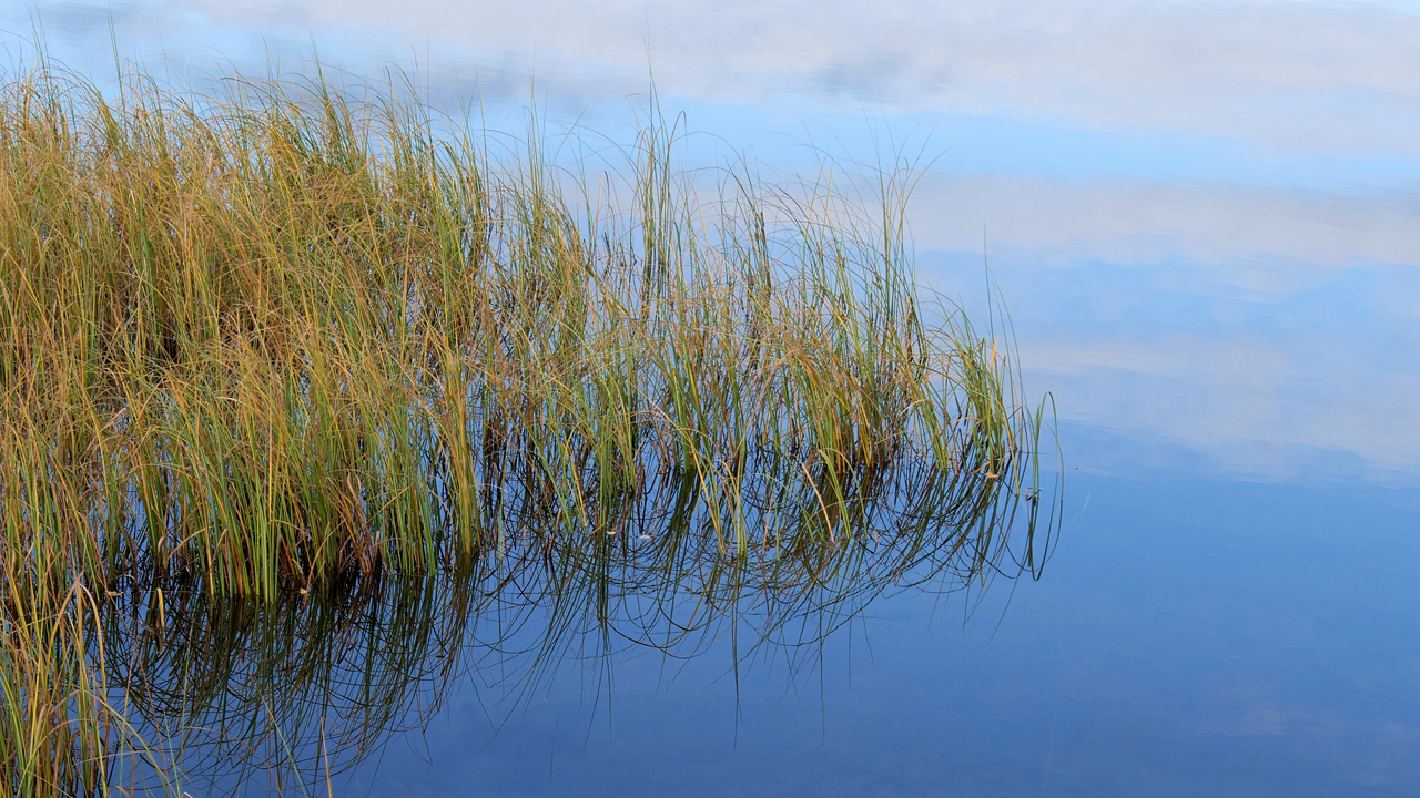 Zwischen Himmel und Wasser